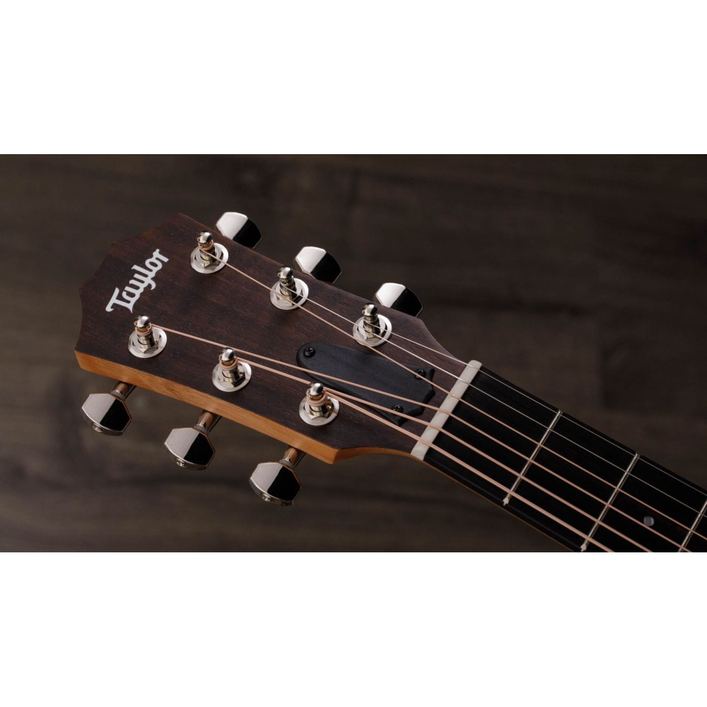 GS MINI-e ROSEWOOD PLUS