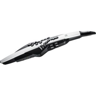AEROPHONE AE-20