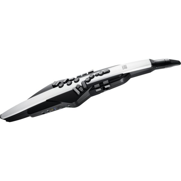 AEROPHONE AE-20