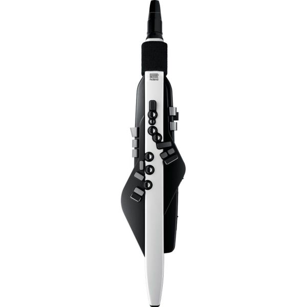 AEROPHONE AE-20