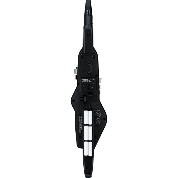 AEROPHONE AE-20