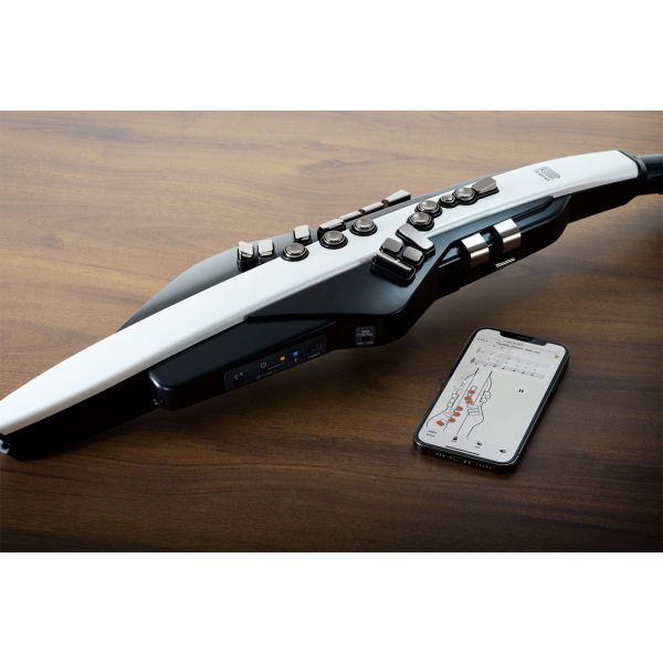 AEROPHONE AE-20