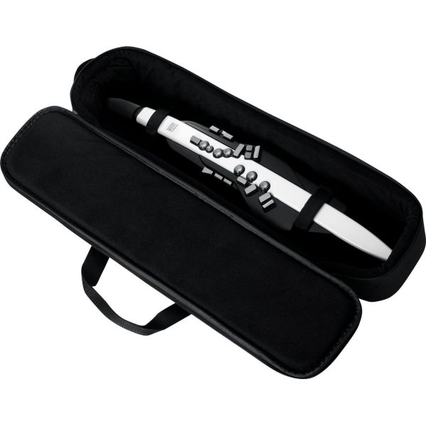 AEROPHONE AE-20