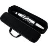 AEROPHONE AE-20