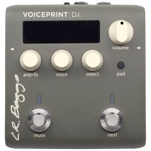 VOICEPRINT DI