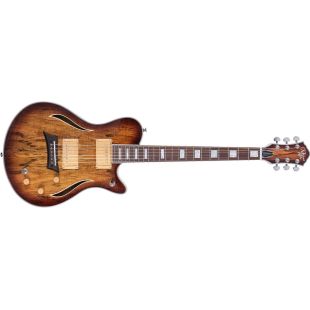 Guitarras Eléctricas