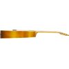J-200 IG AGED ANTIQUE NATURAL