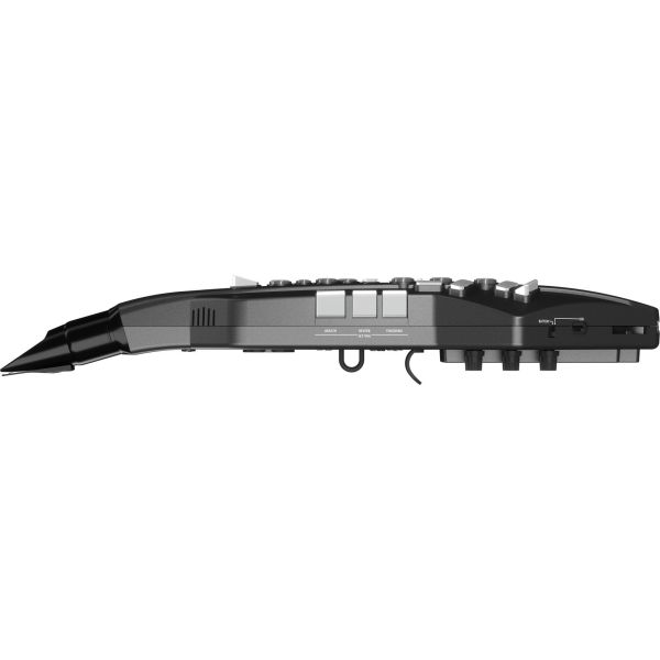 AEROPHONE GO