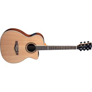 Guitarras Acústicas