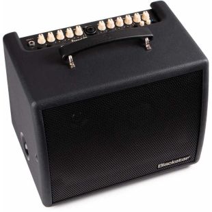 Amplificadores para Guitarra Acústica