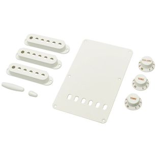 WHITE ACCESORY KIT STRAT