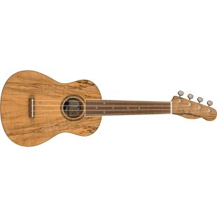 ZUMA CONCERT UKELELE SPALTED WN
