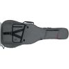GT-ACOUSTIC-GRY