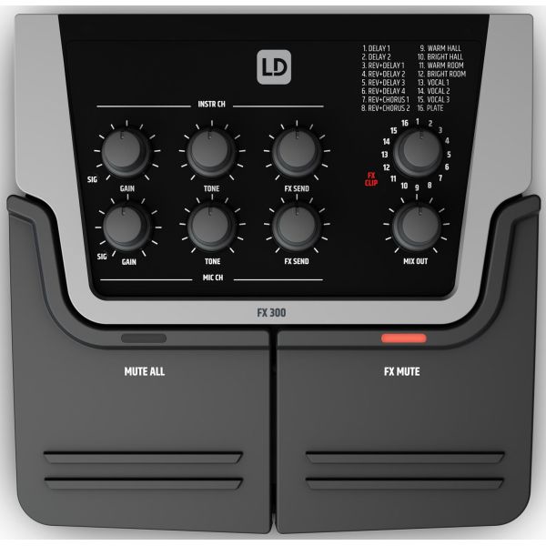 FX 300