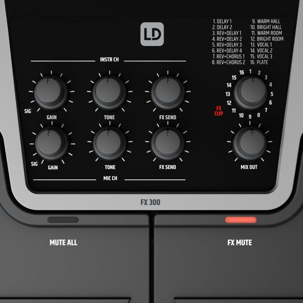 FX 300