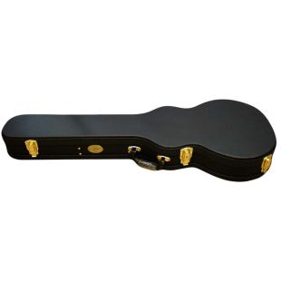 APCLP LES PAUL CASE