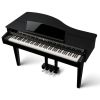 DG30 DIGITAL PIANO