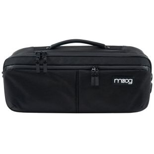 ETHERWARE THEREMIN SR CASE