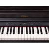 RP701 DR