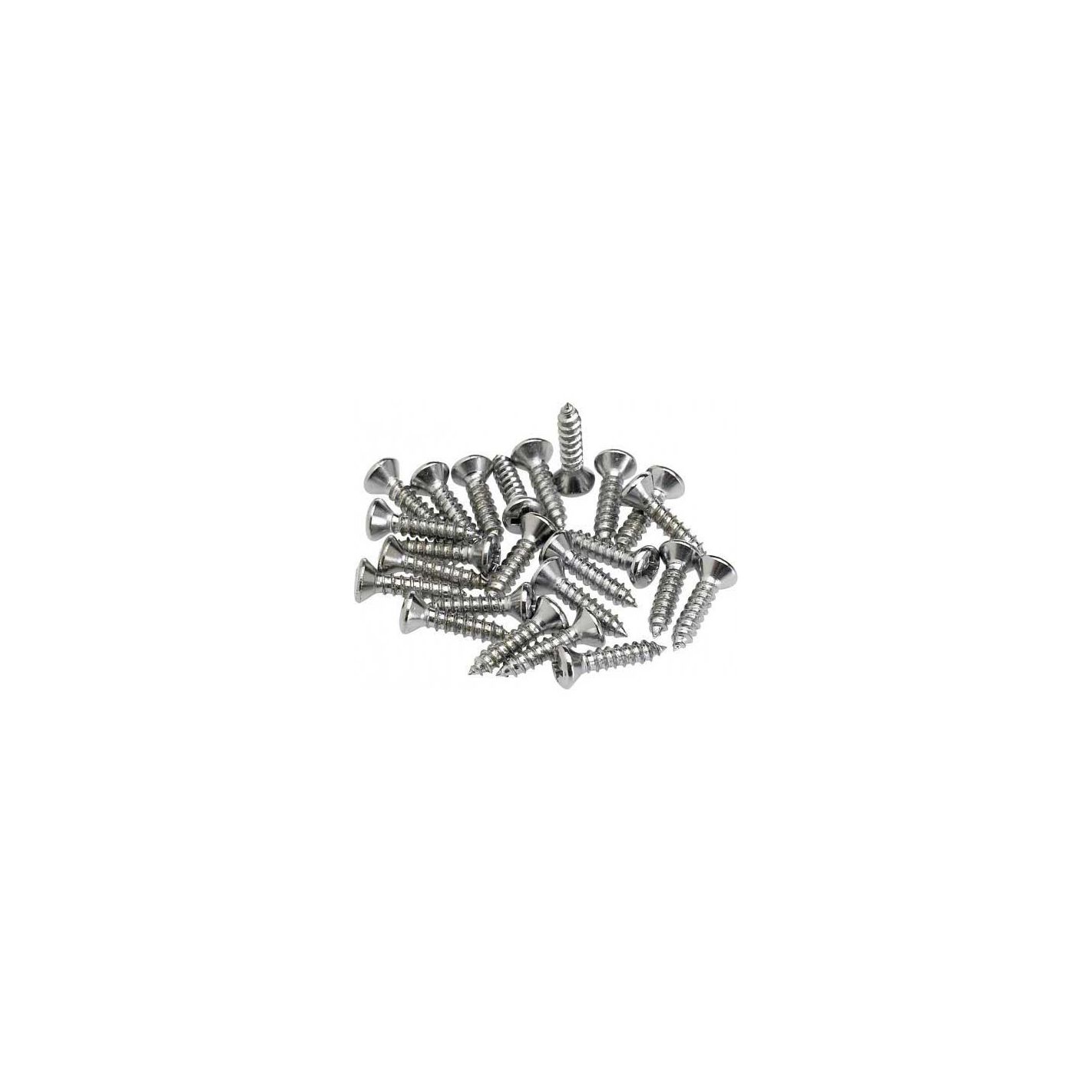 PICKGUARD SCREWS CHROME