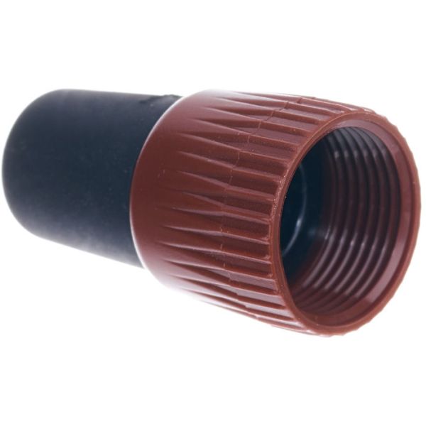 BSP MARRON