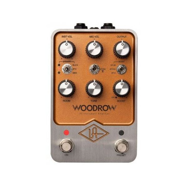 WOODROW 55 INSTRUMENT AMP