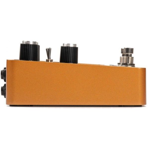 WOODROW 55 INSTRUMENT AMP
