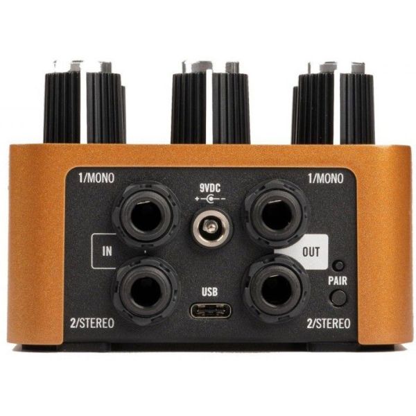 WOODROW 55 INSTRUMENT AMP