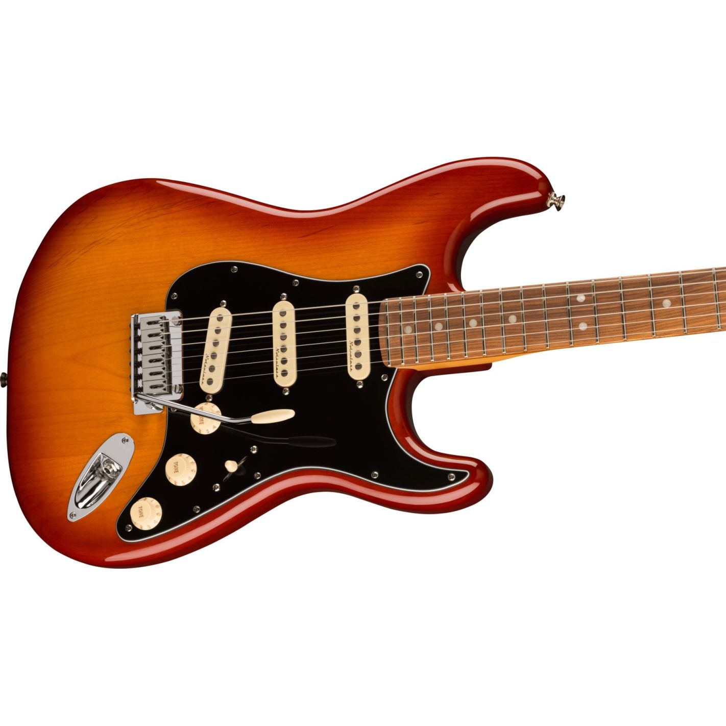 PLAYER PLUS STRATOCASTER PF SSB