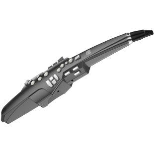 AE-10 G AEROPHONE