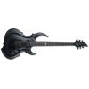 E-II FRX BLACK SATIN