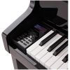 CELVIANO GRAND HYBRID GP-510 BP