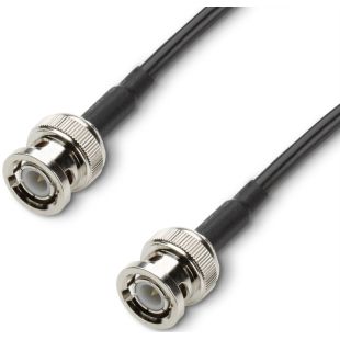 WS 100 BNC 10 M