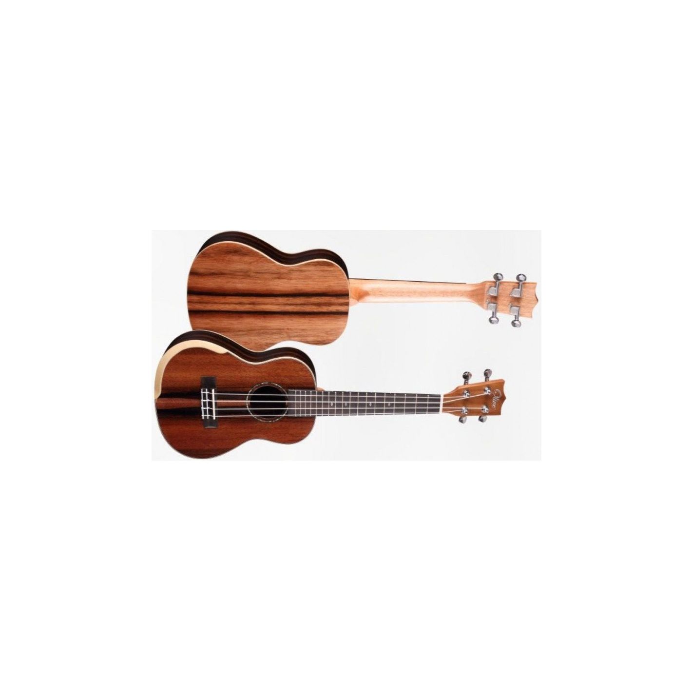 UKELELE CONCERT SP330C EBONY CON REBAJE BRAZOS