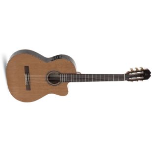 VIRTUOSO ECTF FISHMAN