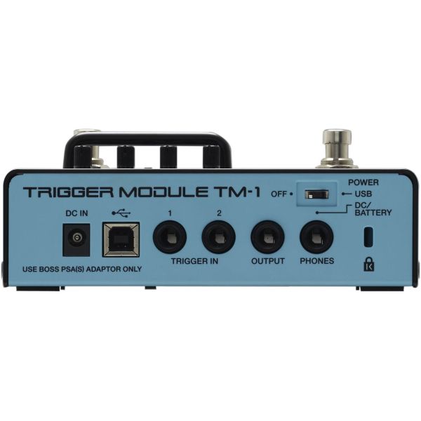 TM-1 TRIGGER MODULE