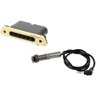 M80 SOUNDHOLE PICKUP