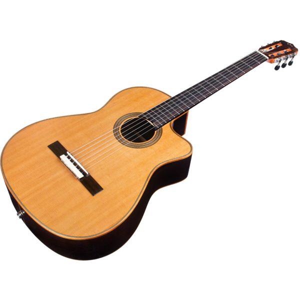 FUSION ORCHESTRA CE CEDAR