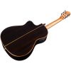 FUSION ORCHESTRA CE CEDAR