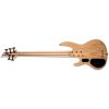 B-205SM FRETLESS NATURAL SATIN 5 CUERDAS