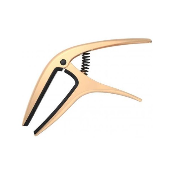 EB9606 AXIS CAPO GOLD SATIN