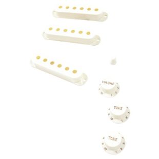PURE VINTAGE 60S STRAT ACCESSORY KIT
