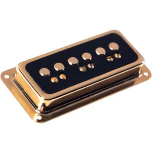 DYNASONIC GOLD BLACK NECK