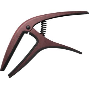 EB 9602 AXIS CAPO BRONZE