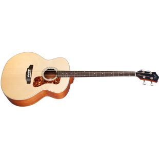 B-240E ACOUSTIC BASS