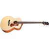 B-240E ACOUSTIC BASS