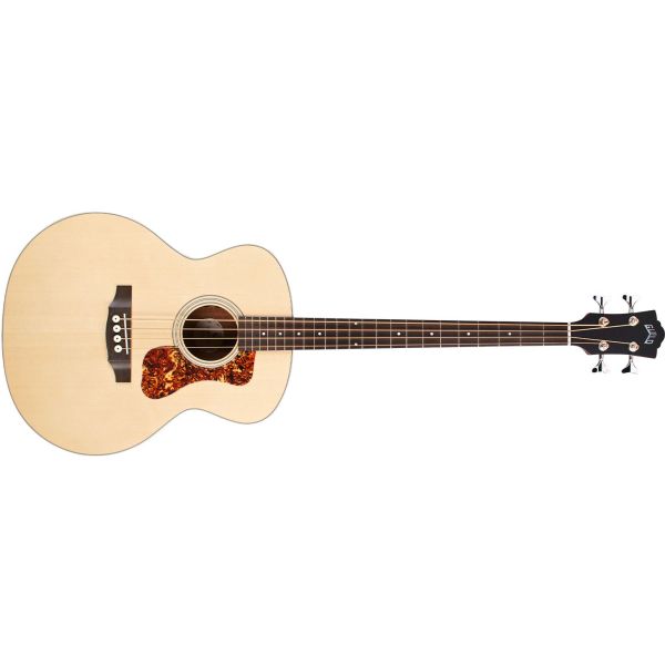 B-240E ACOUSTIC BASS