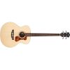 B-240E ACOUSTIC BASS