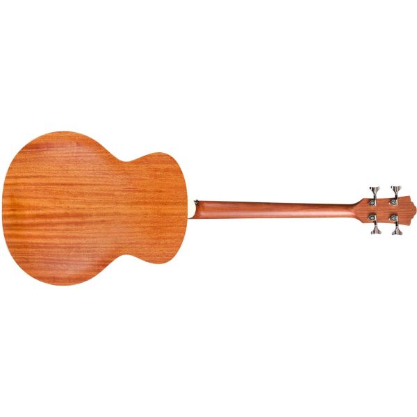 B-240E ACOUSTIC BASS