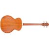 B-240E ACOUSTIC BASS